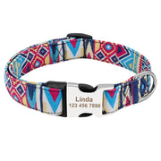 NYLON PET DOG TAG COLLAR