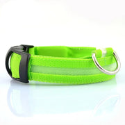 Nylon Pet Dog Collar LED Light