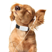 MINI PET GPS WATERPROOF TRACKER
