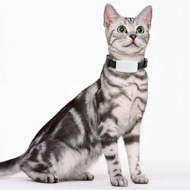 MINI PET GPS WATERPROOF TRACKER