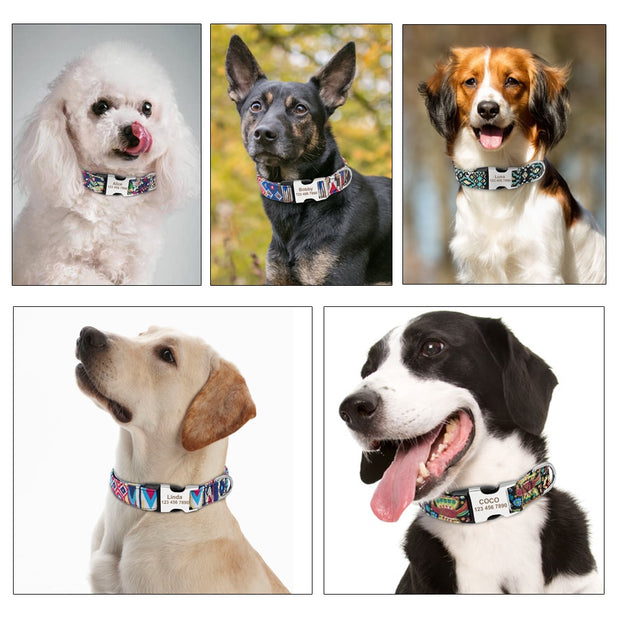 NYLON PET DOG TAG COLLAR