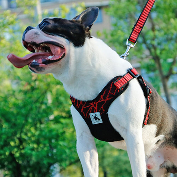 REFLECTIVE DOG HARNESS