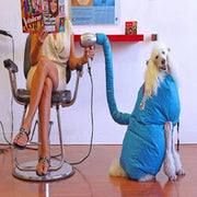 DOG DRYER