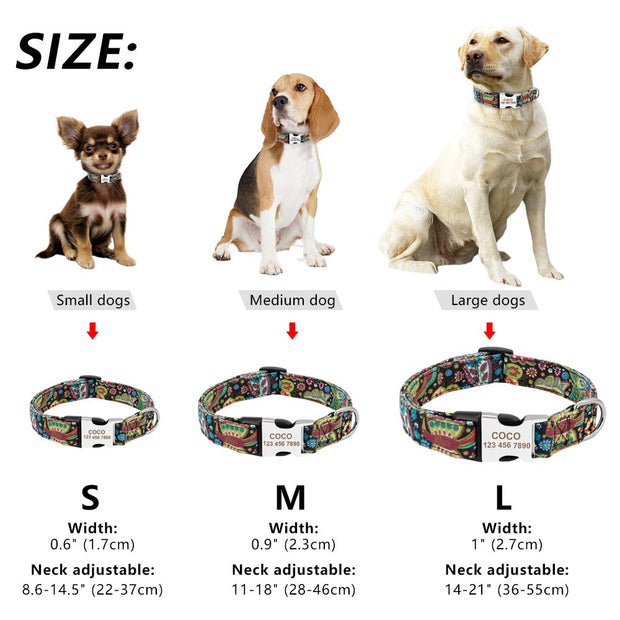 NYLON PET DOG TAG COLLAR