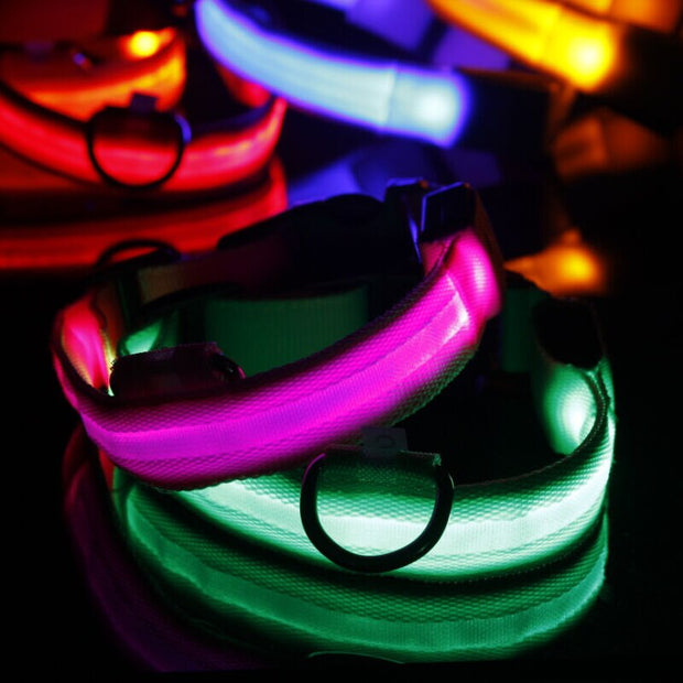 Nylon Pet Dog Collar LED Light