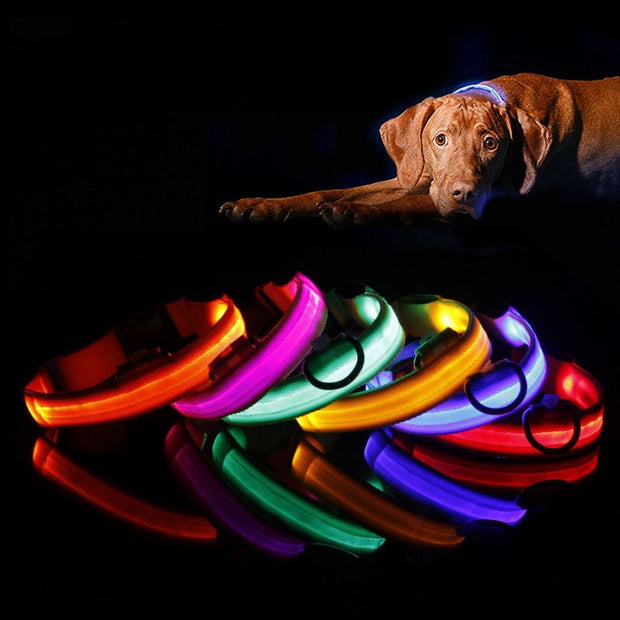 Nylon Pet Dog Collar LED Light