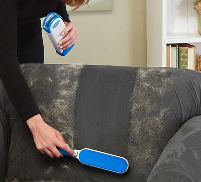 PET HAIR CLEAN BRUSH
