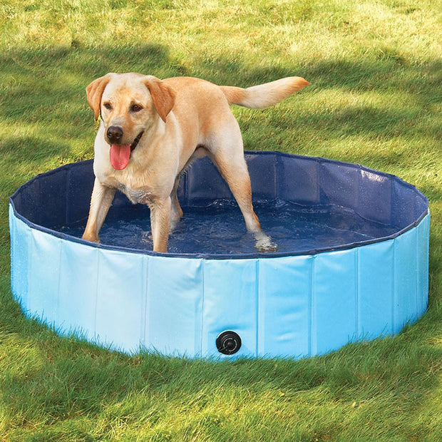 FOLDABLE DOG SWIMMING POOL