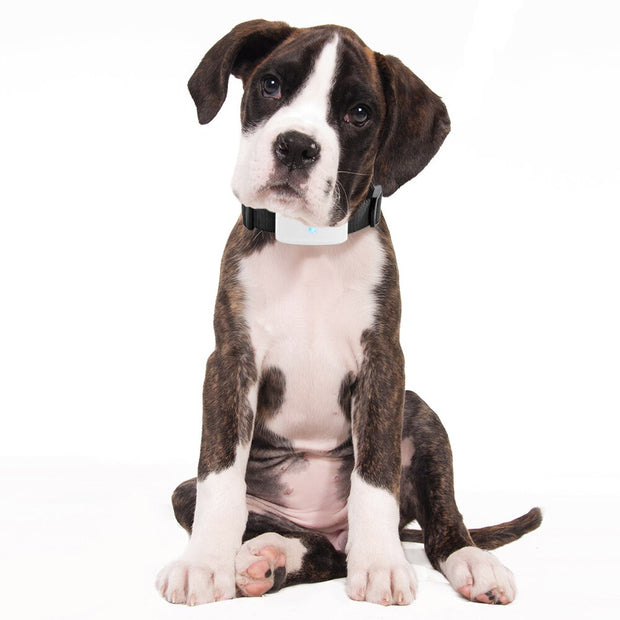 MINI PET GPS WATERPROOF TRACKER