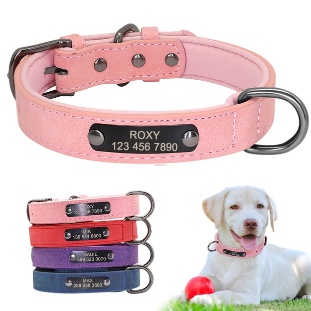 CUSTOM LEATHER DOG COLLAR